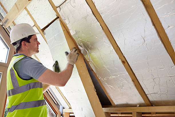 Best Geographic-Specific Insulation Services in Scranton, PA