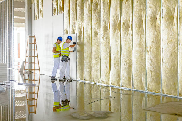 Types of Insulation We Offer in Scranton, PA